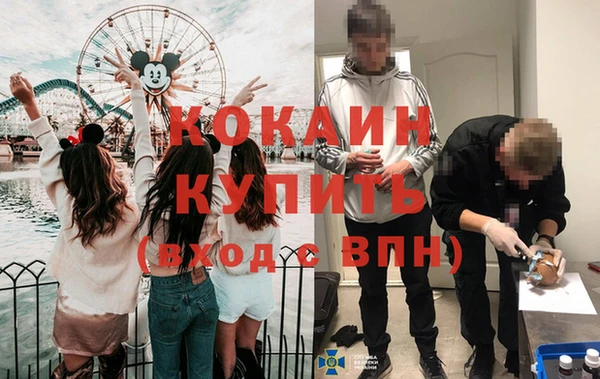 соль ск Богородицк