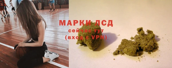 стаф Богородск