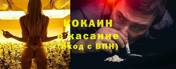 соль ск Богородицк