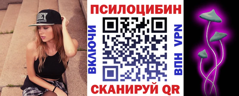 Псилоцибиновые грибы Psilocybe  Купить закладки  Усмань 